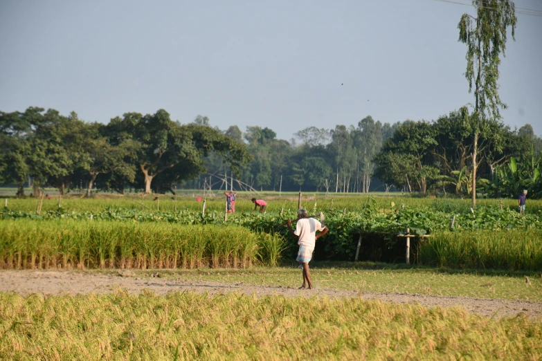 a person in a field and another walking by