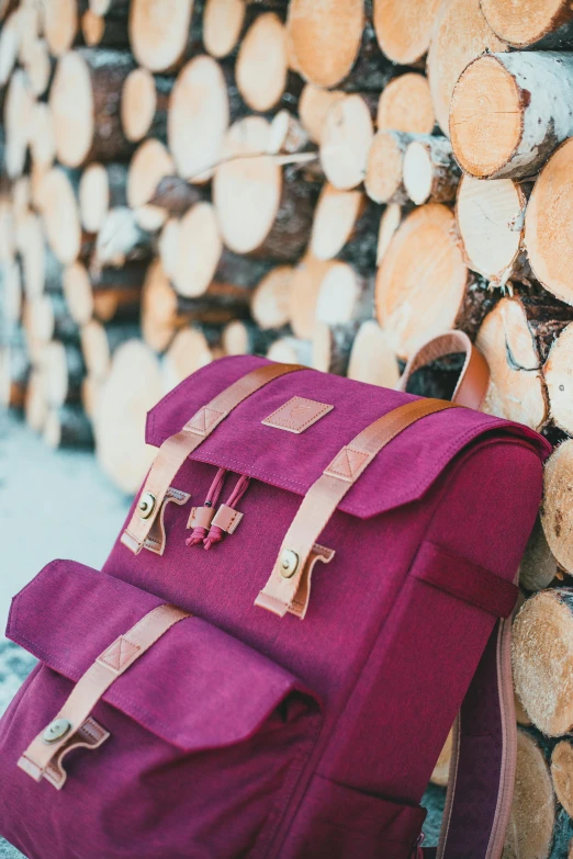 a piece of red and tan luggage near a stack of wood