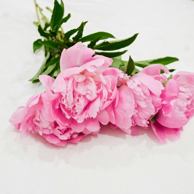 pink flowers that have been placed in the middle of a table