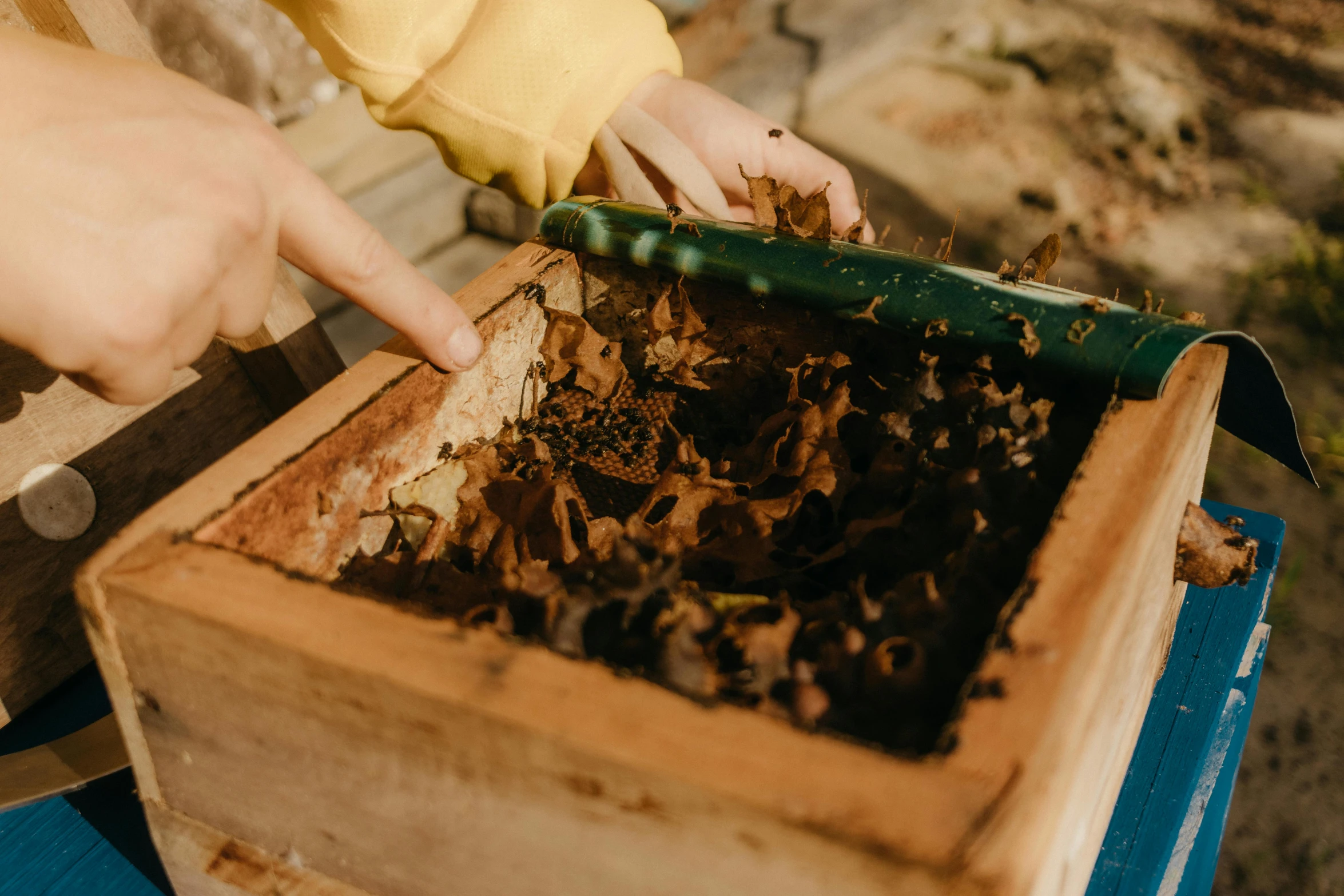 someone is removing leaves from a box outside