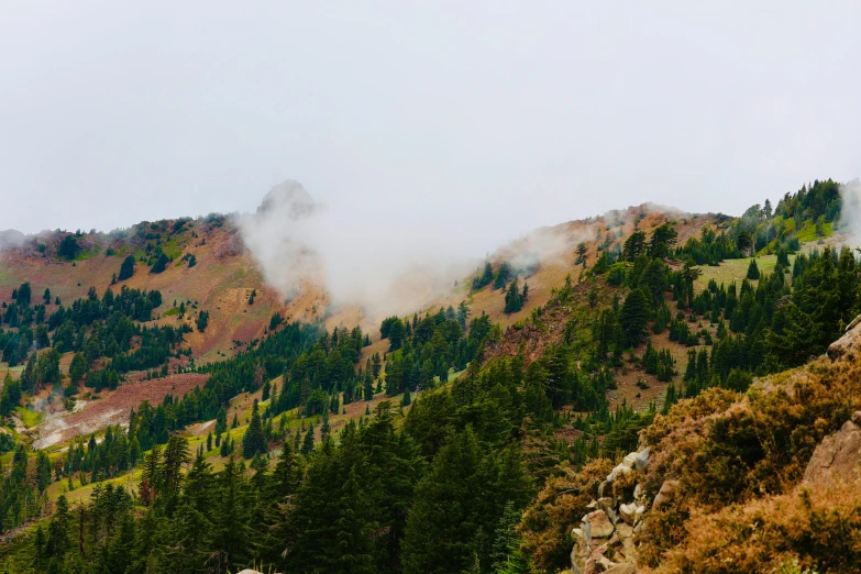 the tops of mountains with trees on them