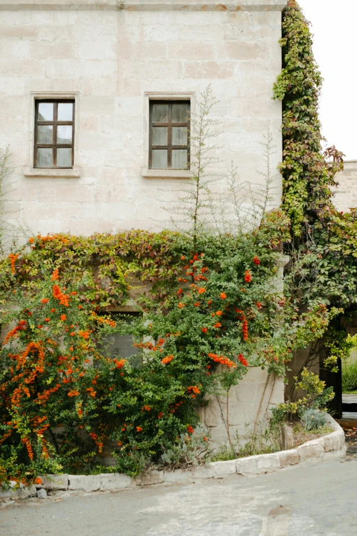 a very nice building with orange flowers growing on it