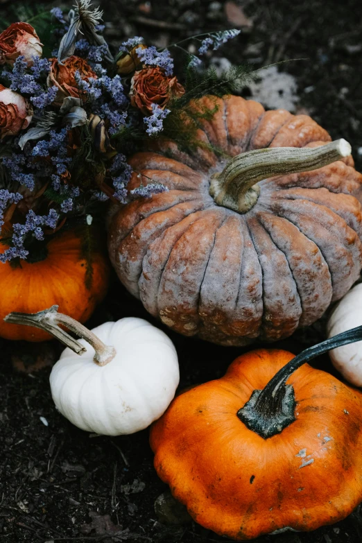 many pumpkins that have been made into a decorative display