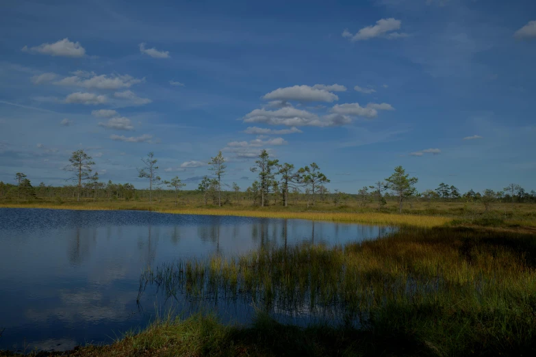 the water is very calm and quiet, with green grass