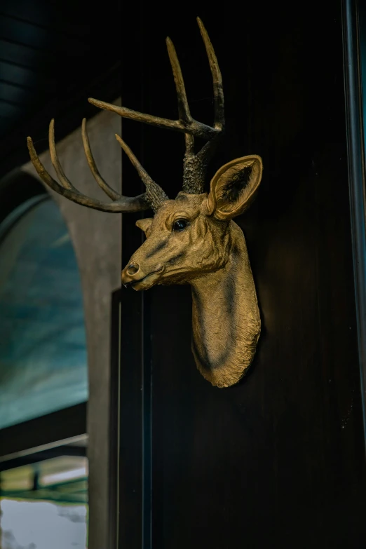 a deer head is hanging on a wall