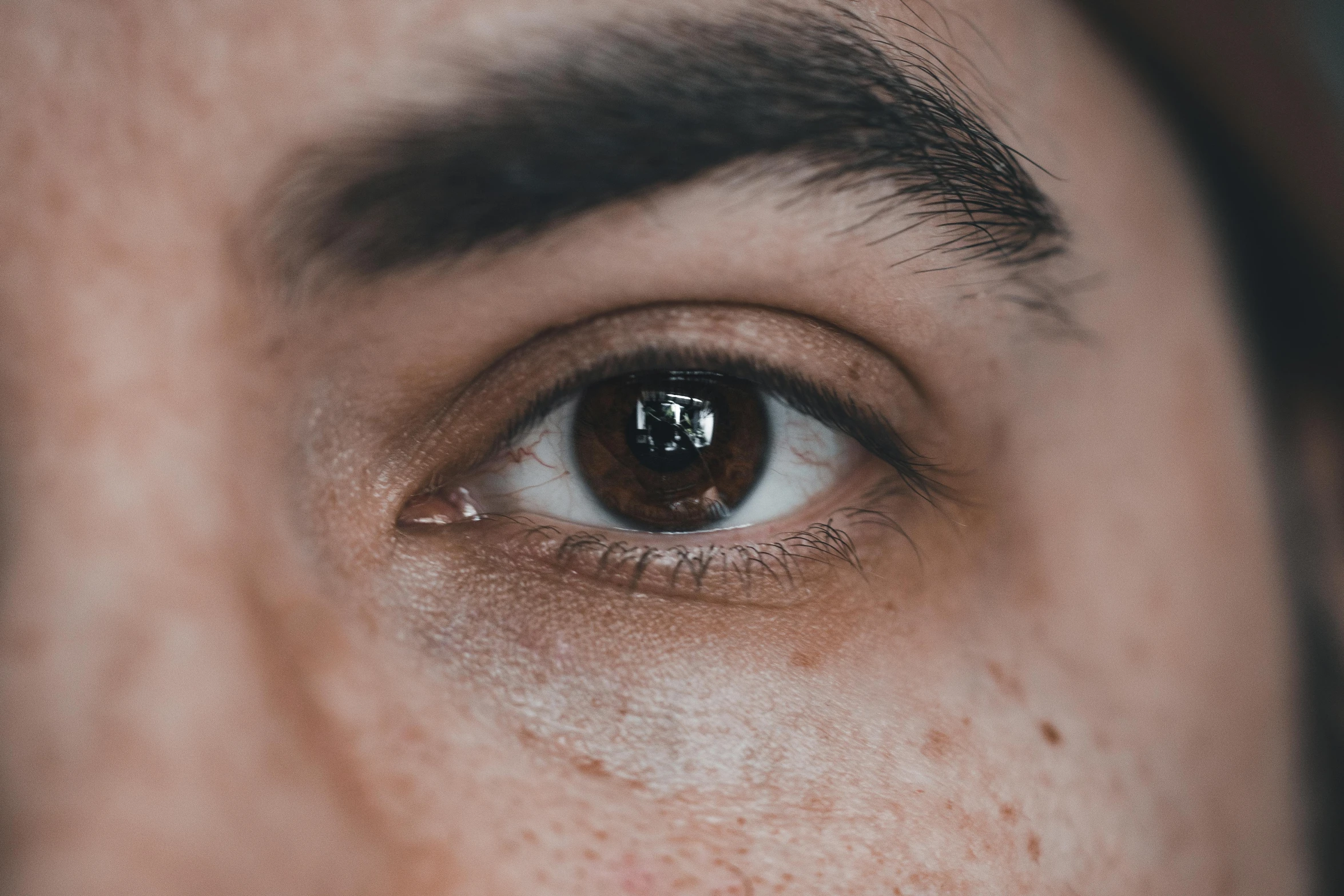 the human eye is reflecting in another person's eyes