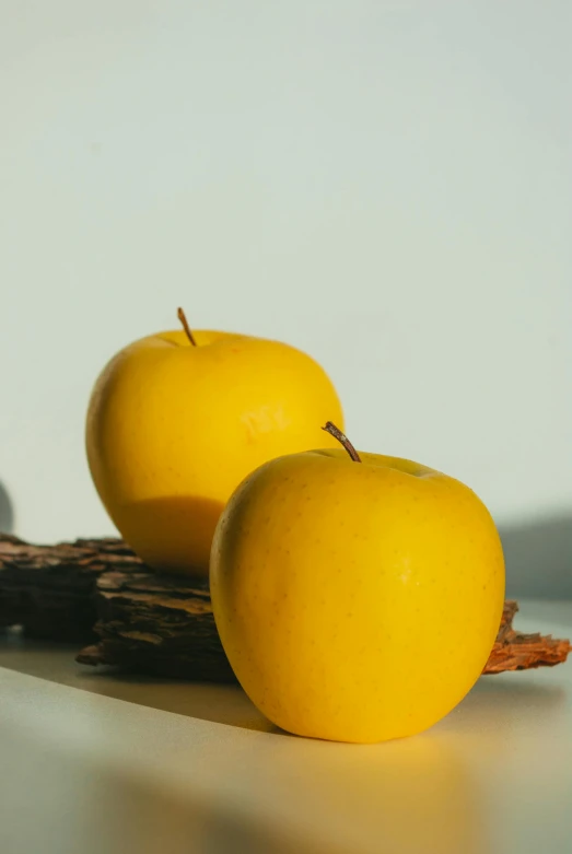 two yellow apples sit on a nch