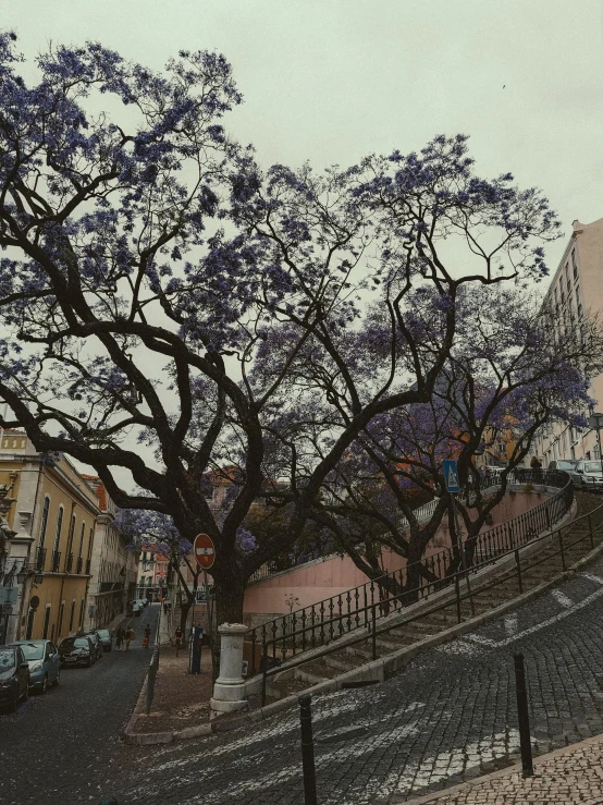 purple trees and a fence next to a large building