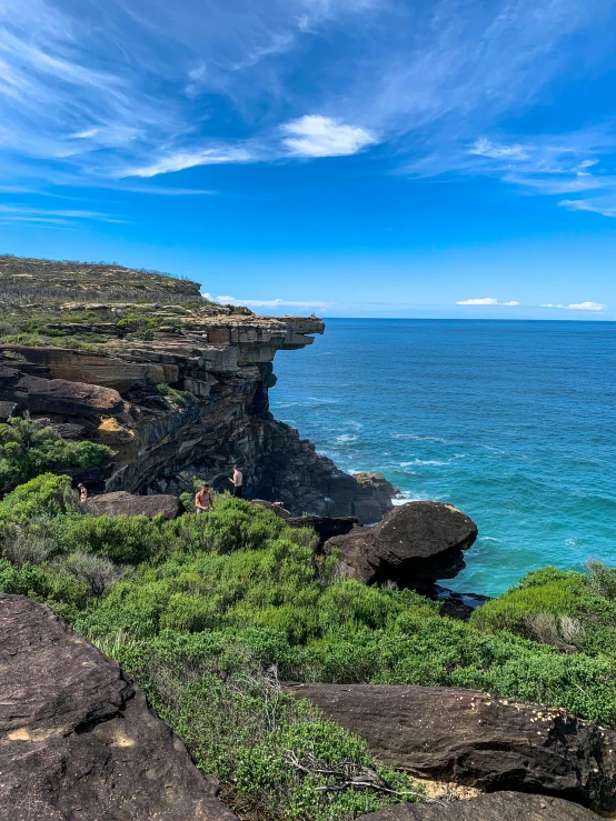 there are several animals on the hill near the ocean