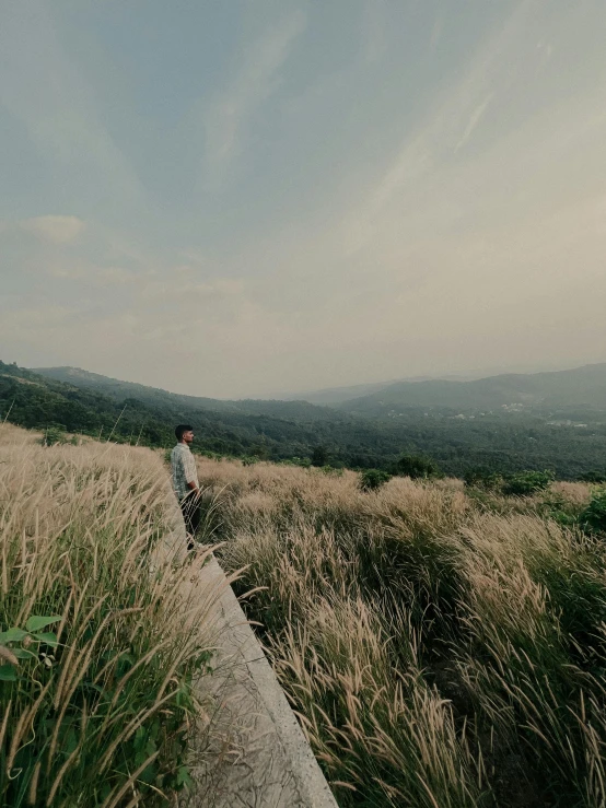 person standing at the edge of a field surrounded by tall grass