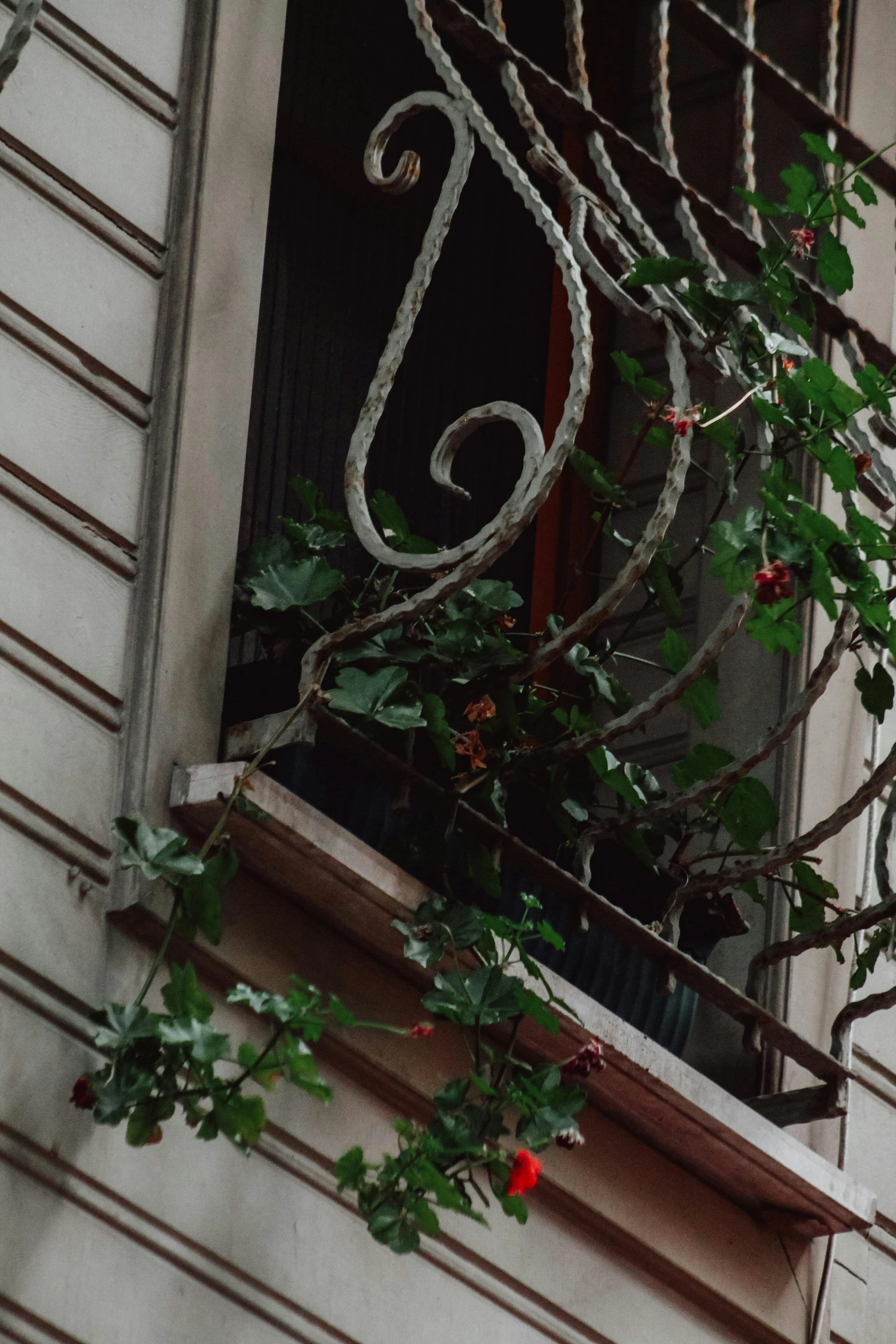 the balcony railings and balconies are covered in ivy