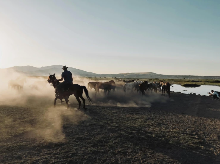 the cowboy is on his horse in front of a group of horses