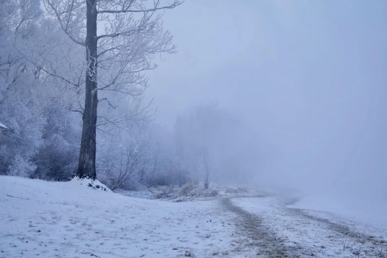 a foggy and snow covered road in the middle of winter