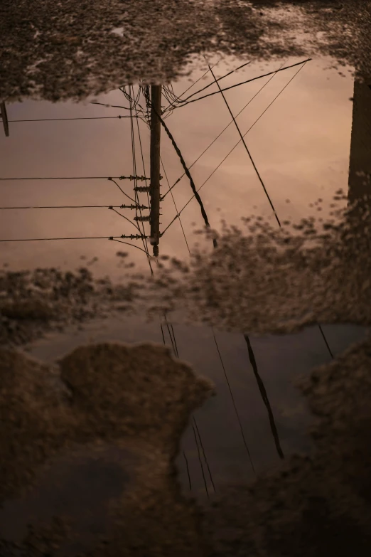 a water dle with power poles in the middle