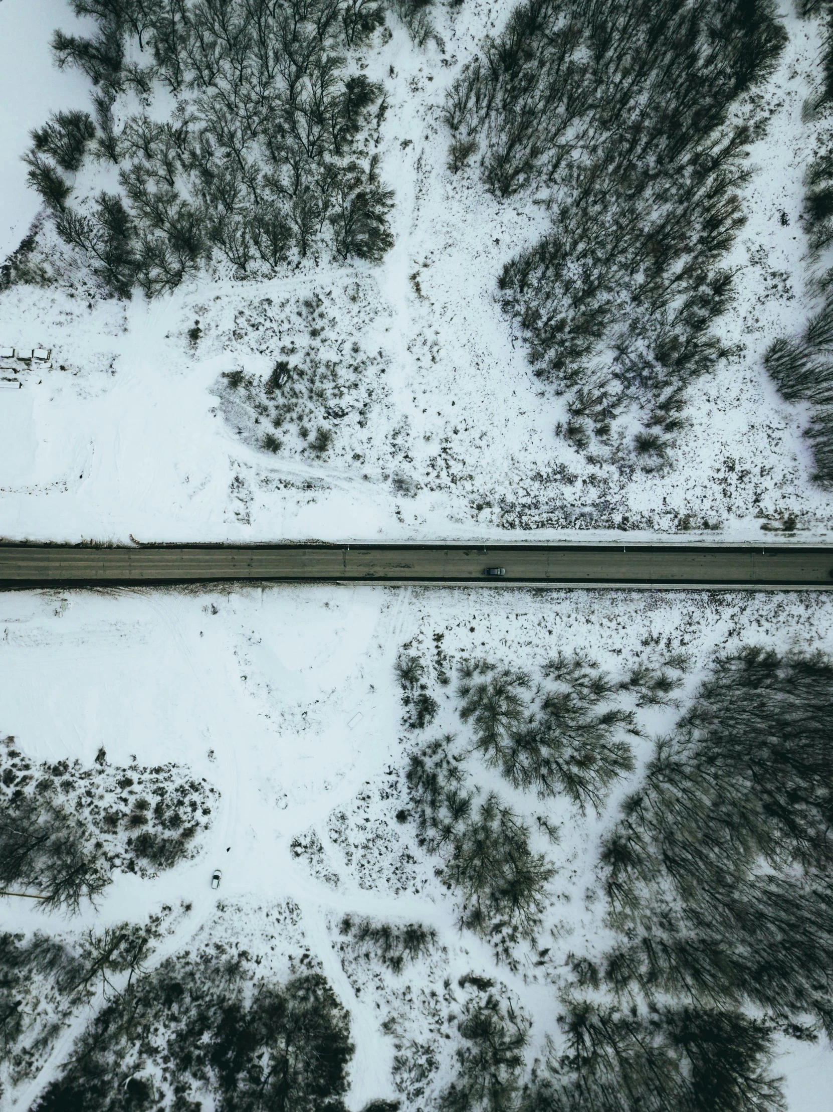 a long train going through the woods in winter