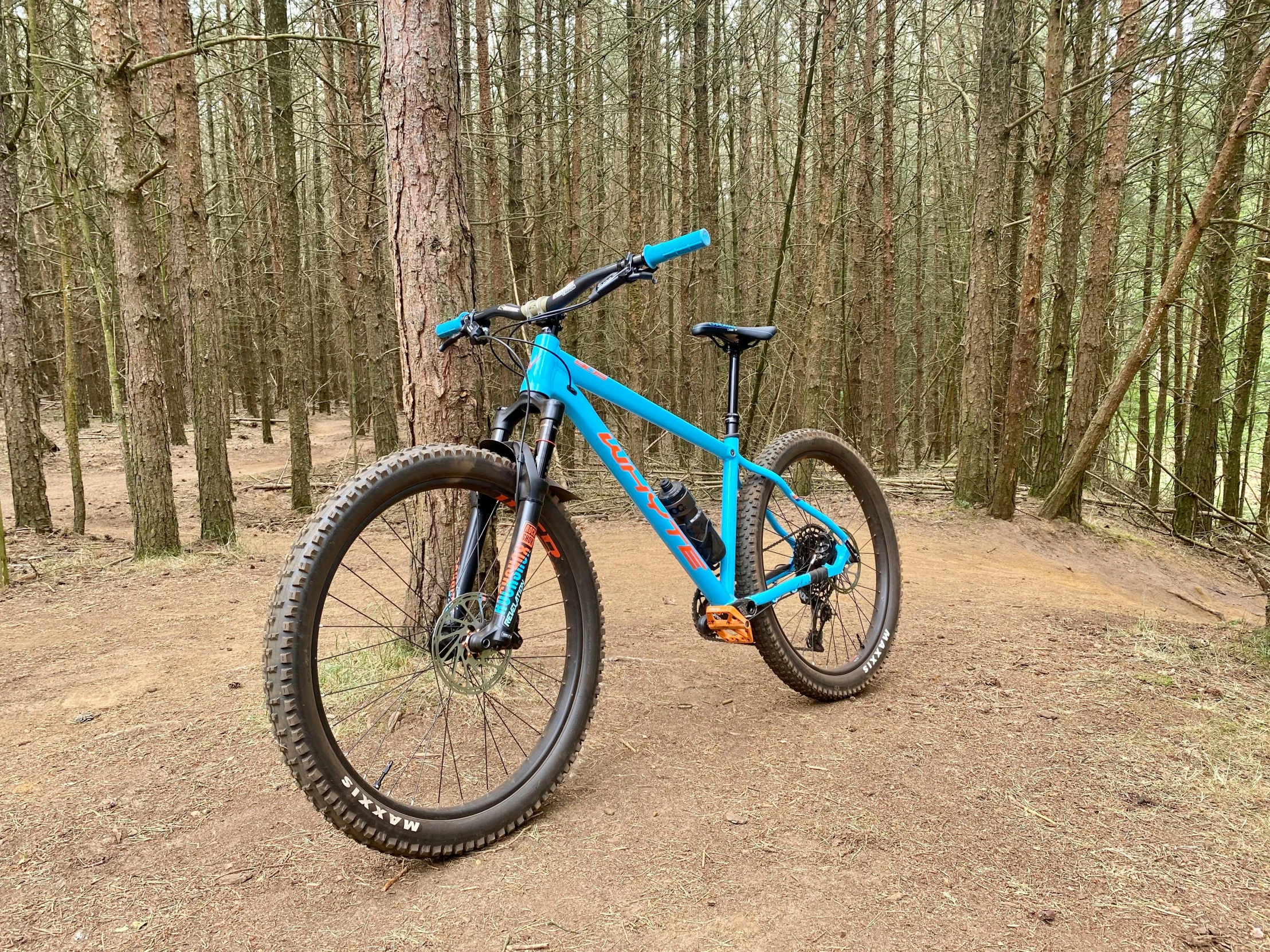 a blue bike parked next to a tree in the forest