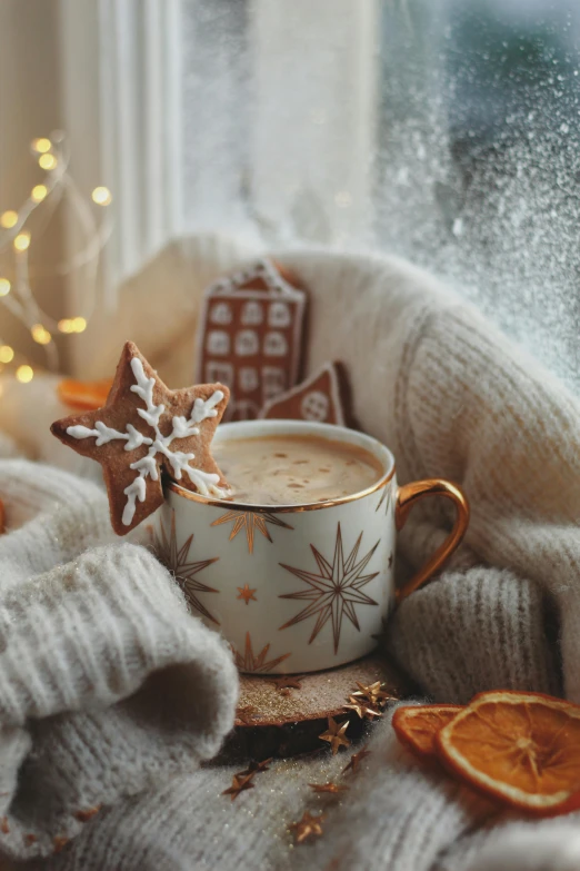 a cup of coffee in the middle of winter is a cookie on top