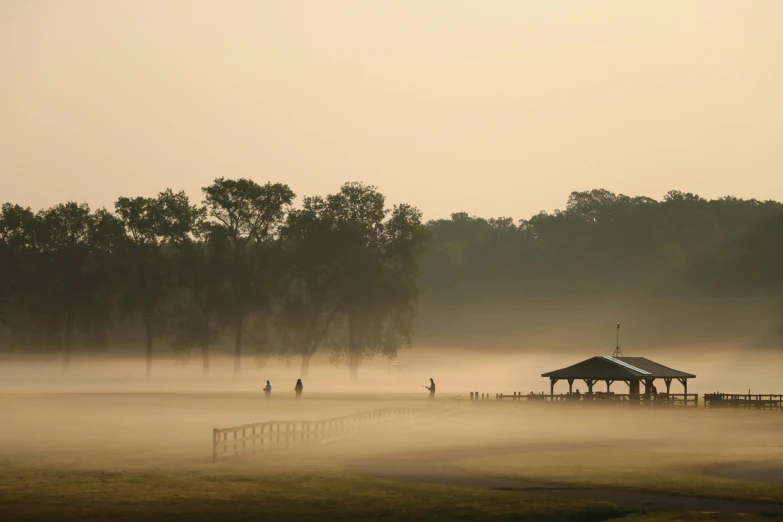 fog covering a field with trees and pavilion