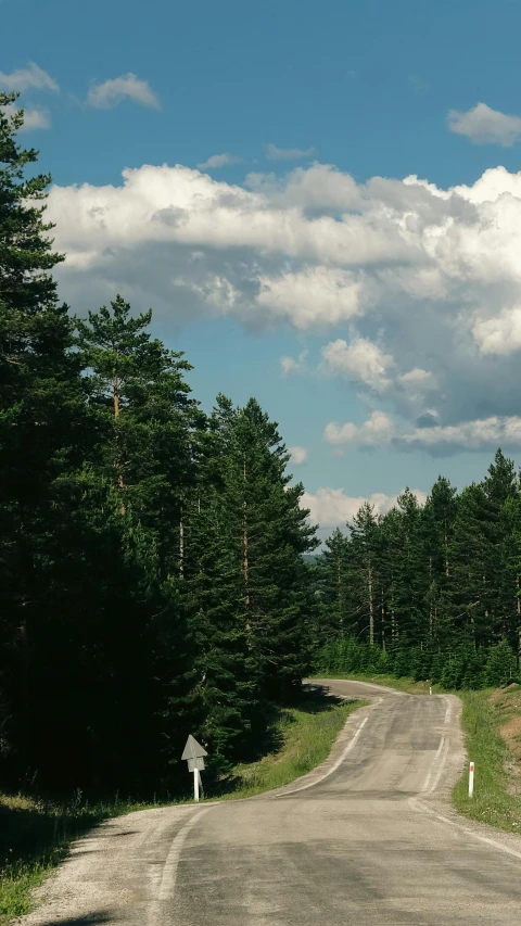 an image of a person on the side of a road