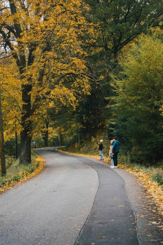 people are walking on a road near a lush green and yellow forest