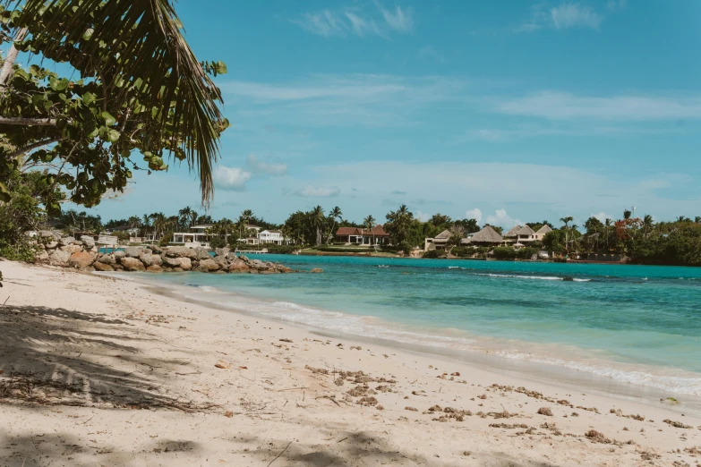 a beach on an island with palm trees