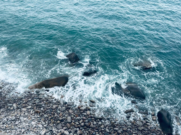 rocky shoreline with rocks and water in the background