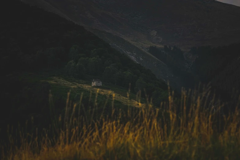 a distant po of two sheep in the mountain