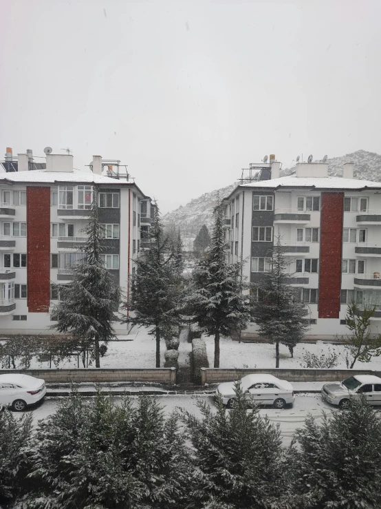 snow covering a town and trees with cars parked outside