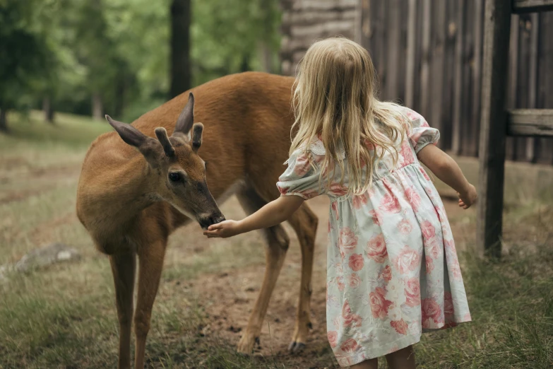 a little girl petting a baby deer