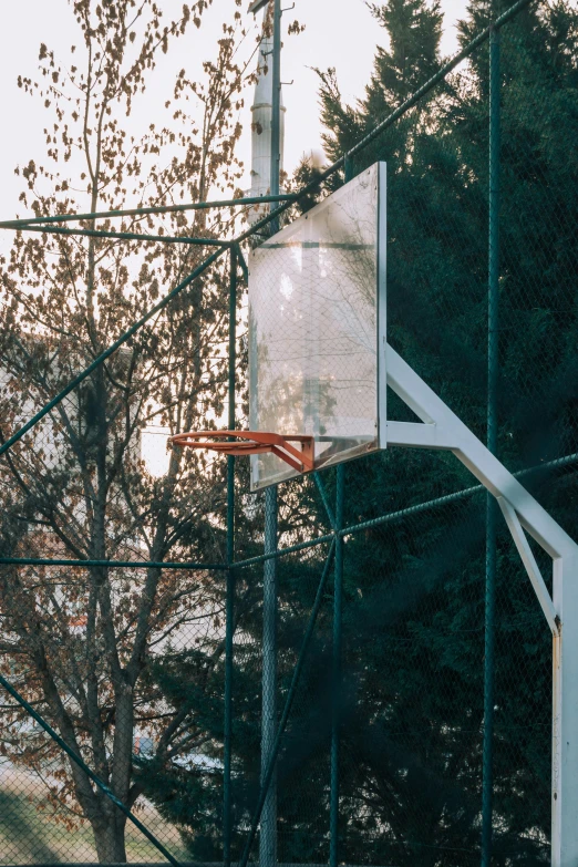 a basketball hoop with a reflection of trees in the background