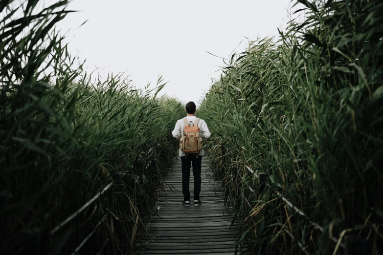 a person walking through a narrow, grassy path