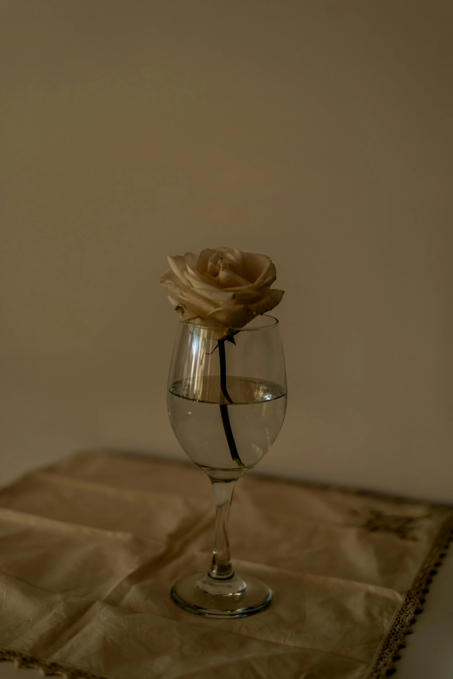 an image of a glass of water with a rose in it