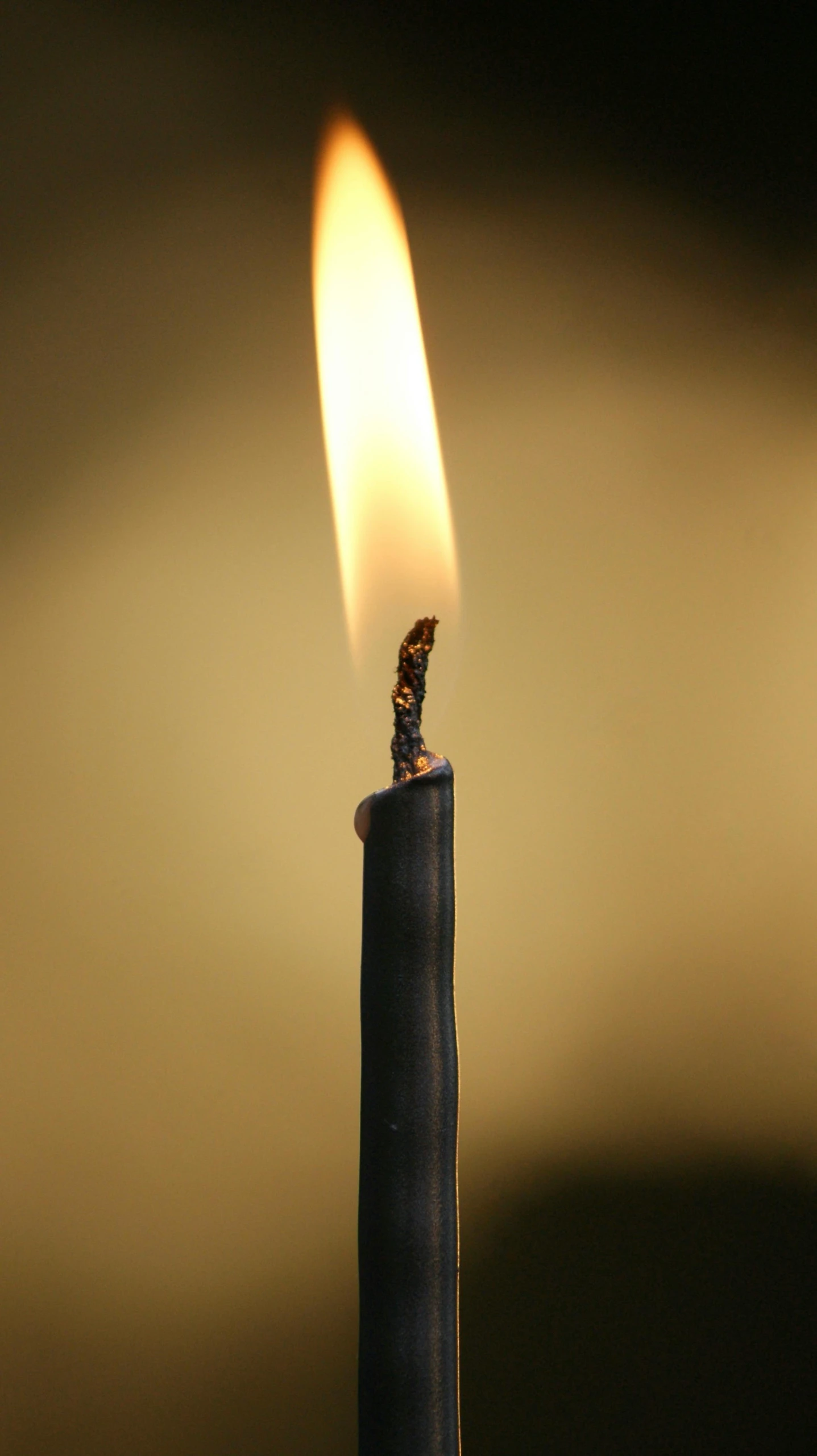 a single flame on a lighter lite up