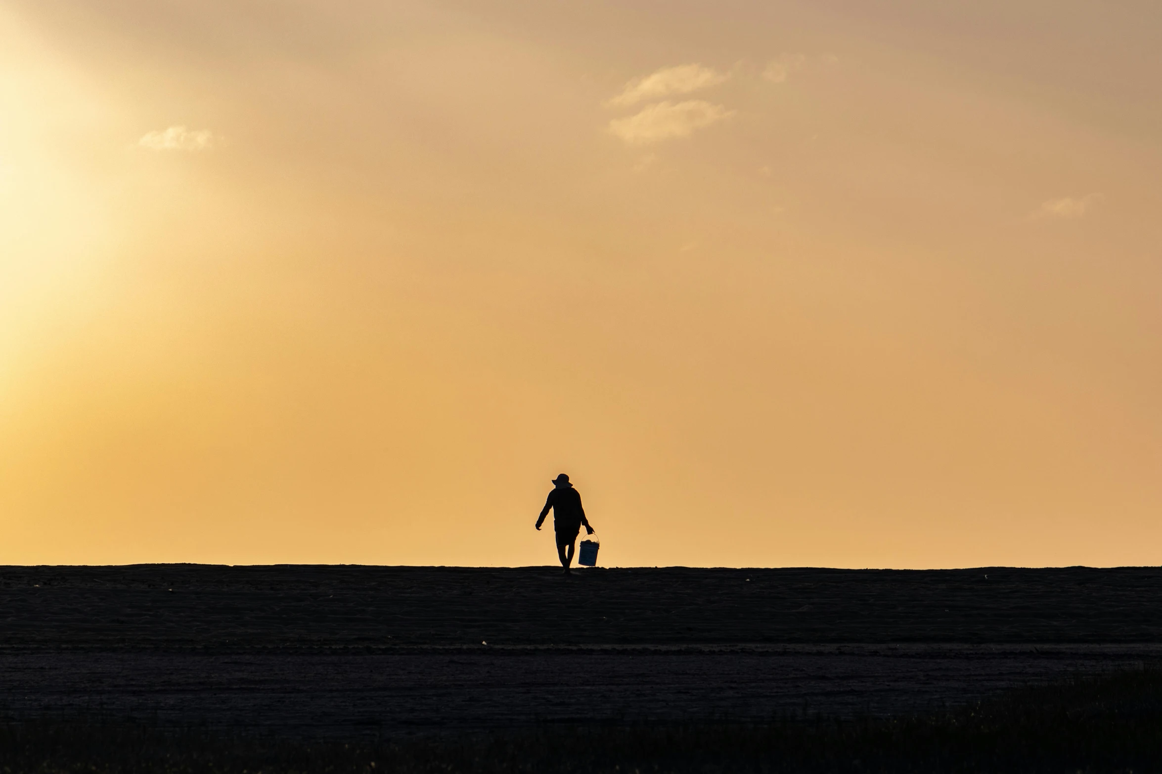 silhouette of people walking on flat area during sunset