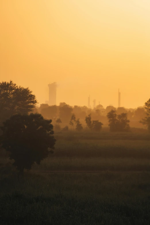 the sun is shining above a field full of trees