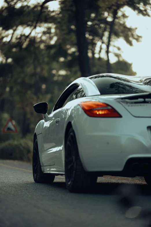 a white car driving down a tree lined road