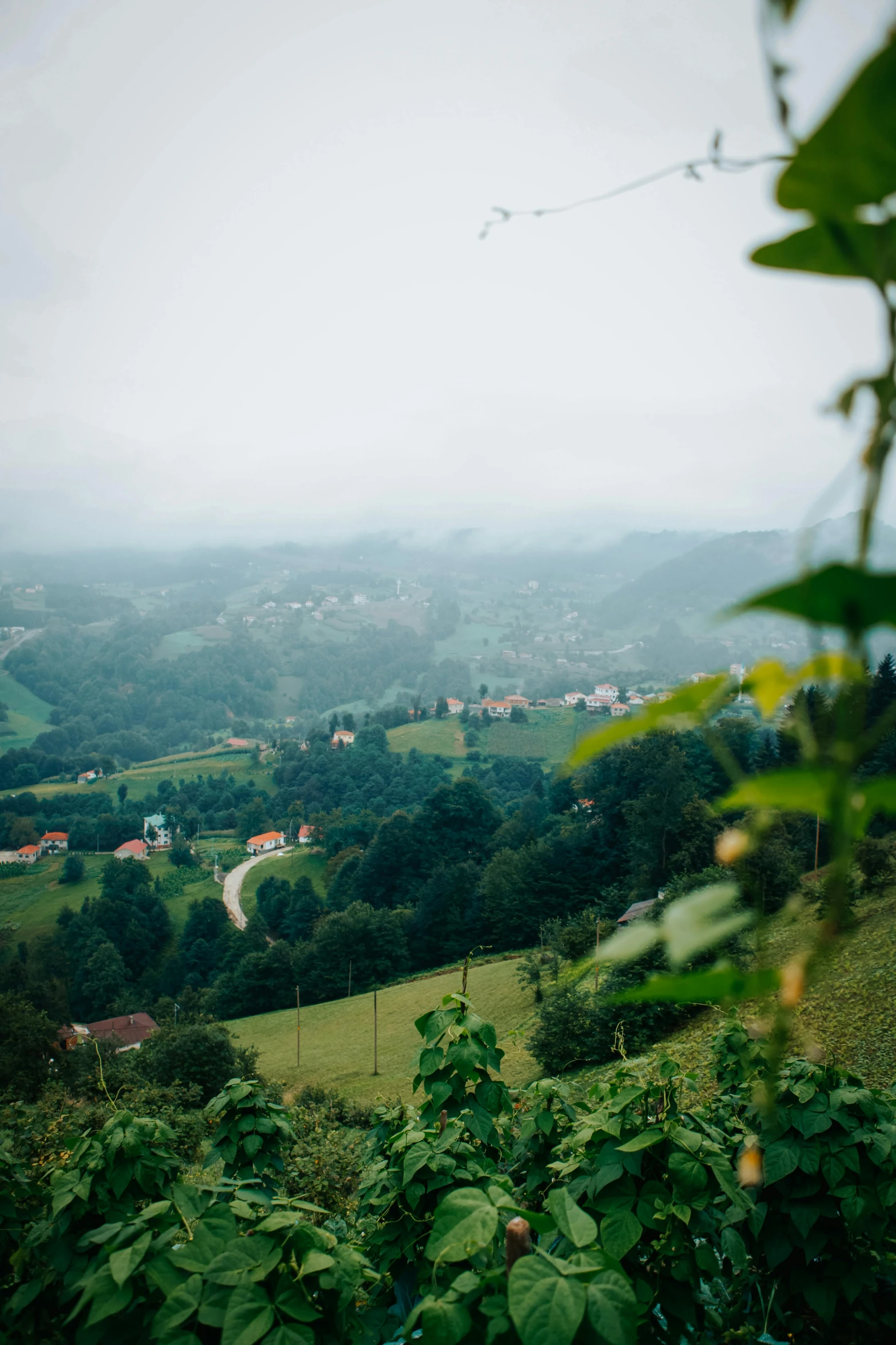 a hill view with lots of green hills in the background