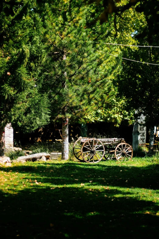 a wooden wagon in the middle of a field