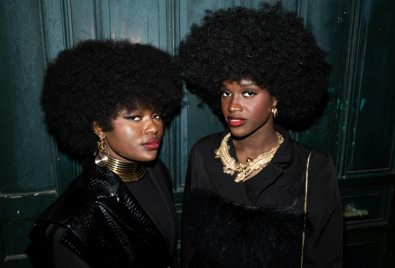 two black women with afros pose for a picture