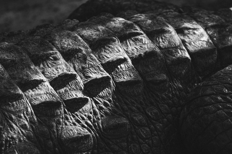 the texture of an alligator's skin in black and white