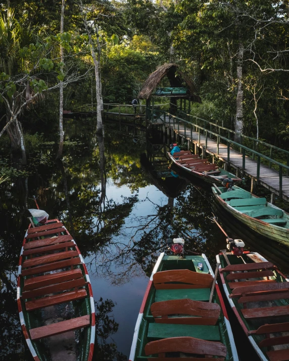 many boats sitting in the water surrounded by trees