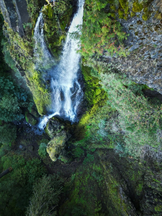 waterfall is in the middle of the green forest