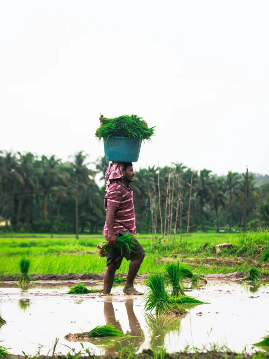 a man carries a bucket over his head, in the water