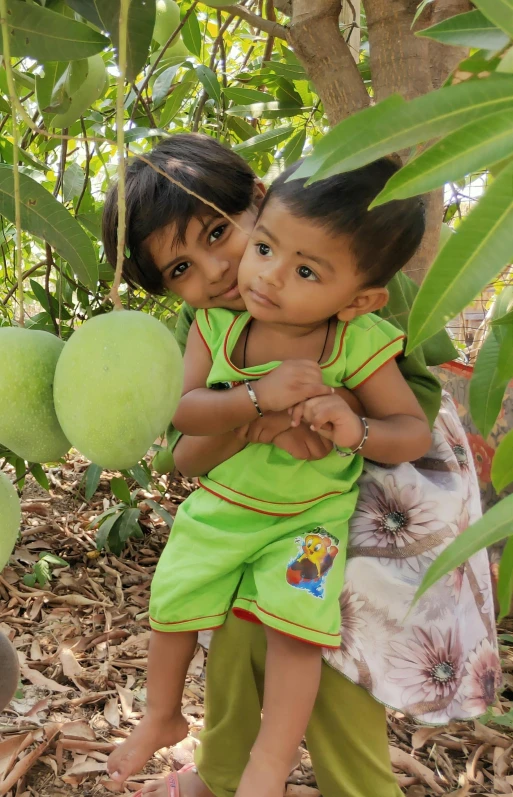 the two s are standing in front of a mango tree