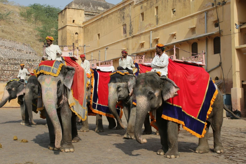 three men wearing hats riding on top of elephants