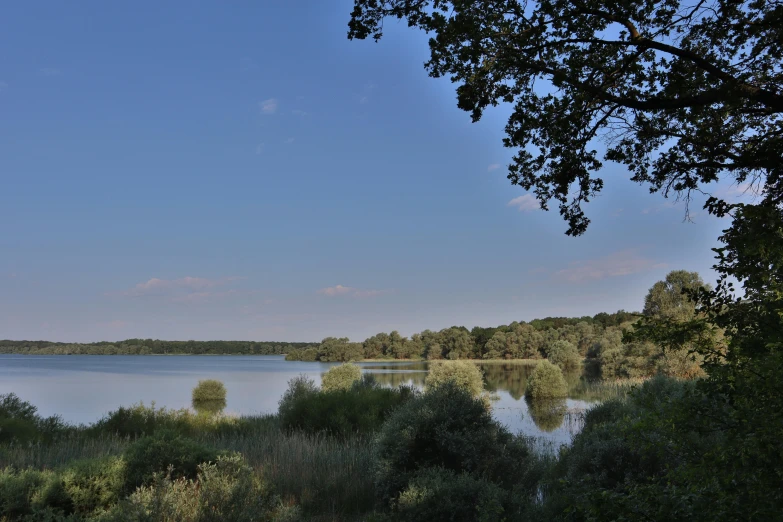 an image of a view of a lake with trees