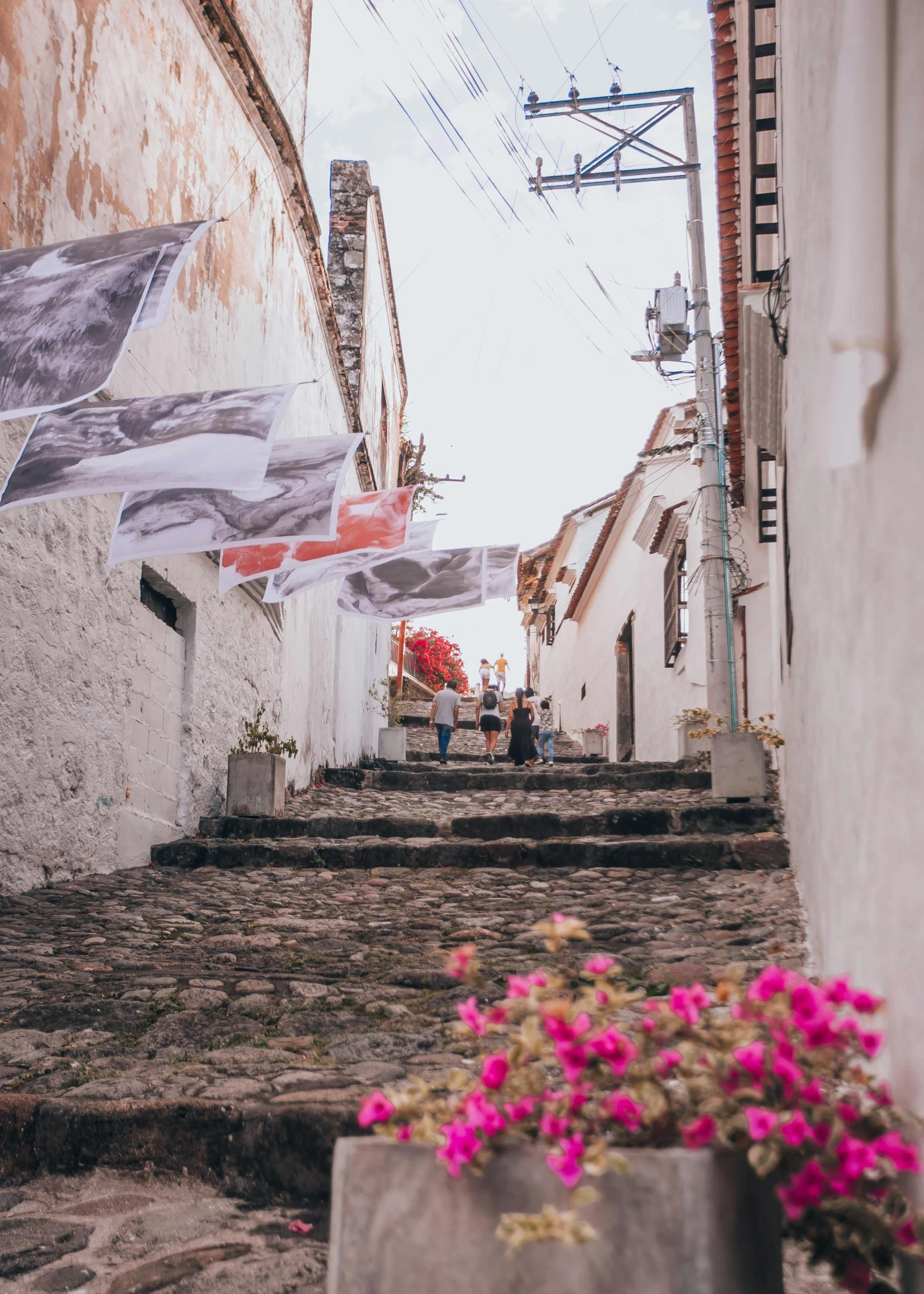 pink flowers sit on the concrete steps in an alley