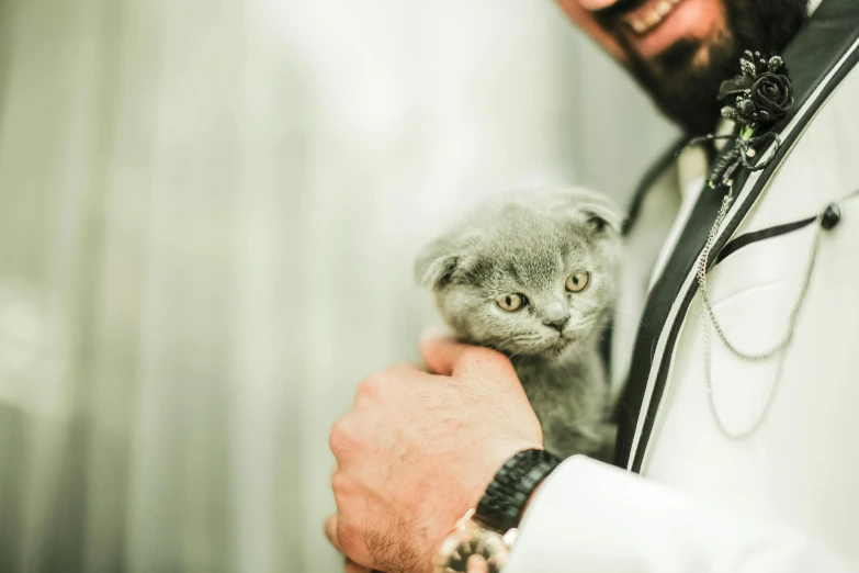 a man holding a kitten in his hands