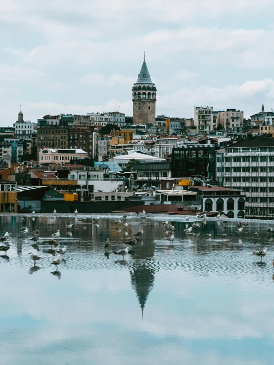 a skyline of many buildings sitting on a body of water