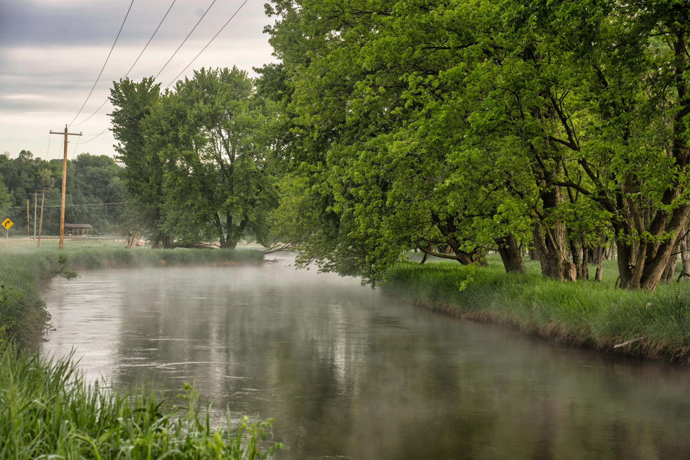 trees line the bank of a flooded river